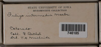Image Associated With the Occurence